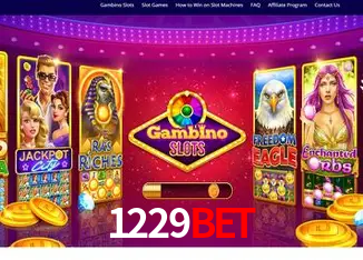 1229bet Rio de Janeiro - Bonus Terms