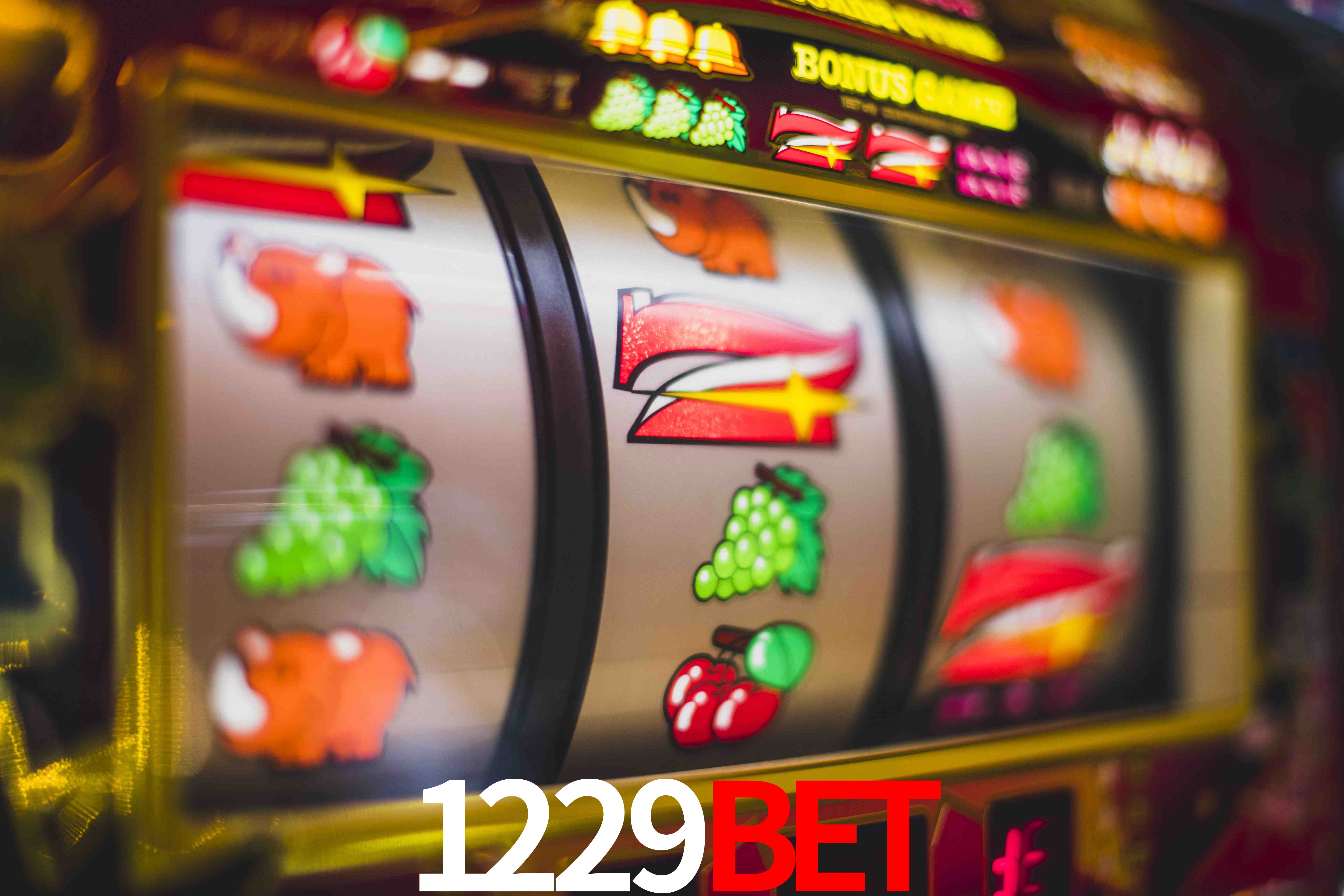 Statistics 1229bet